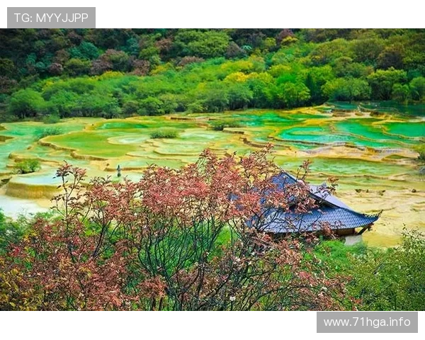 阿坝州文旅局长邀您云端畅游九寨黄龙